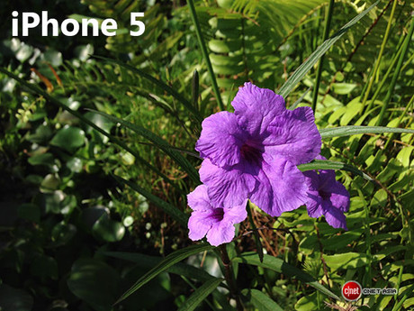 HTC One với công nghệ Ultrapixel so kè chụp ảnh với iPhone 5 9
